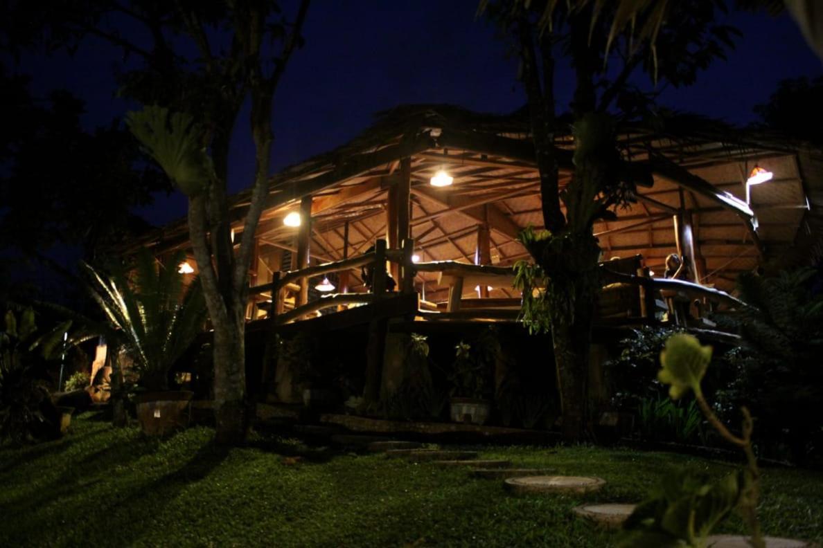 On The Rocks Bungalows, Restaurant And Jungle Trekking Tours Bukit Lawang Exterior foto