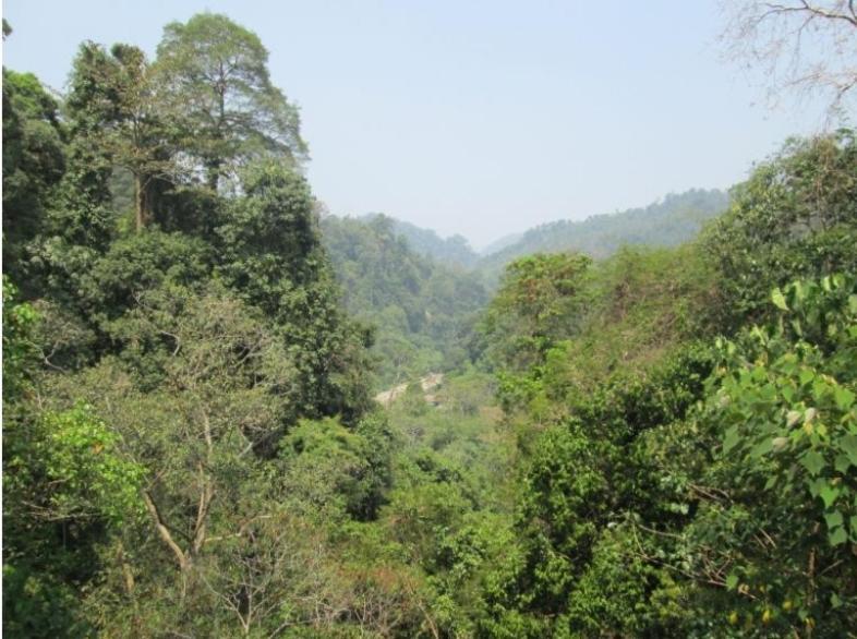 On The Rocks Bungalows, Restaurant And Jungle Trekking Tours Bukit Lawang Exterior foto